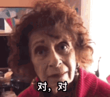 Elderly Woman's Face With Chinese Writing