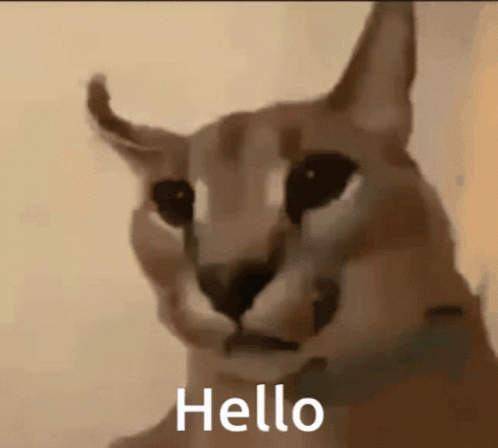 Elderly Woman With Heart Glasses Saying Sorry GIF