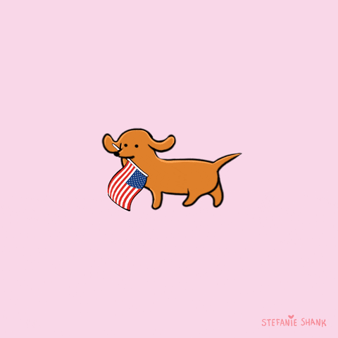 Election Day Cute Puppy Holding Flag GIF