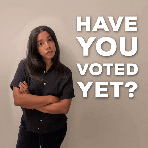 Election Day Have You Voted Yet GIF
