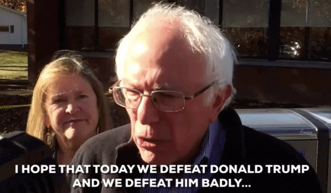 Election Day I Hope We Defeat Him Badly GIF