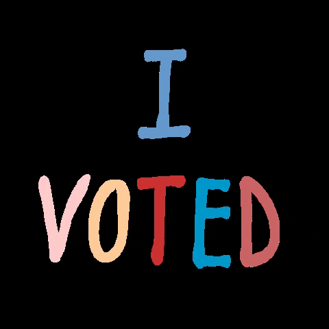 Election Day I Voted With Check Mark GIF