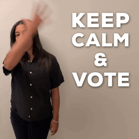 Election Day Keep Calm And Vote GIF