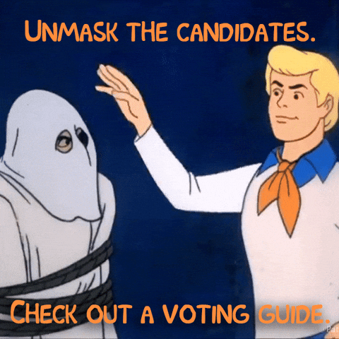 Election Day Unmask Candidates Check Voting Guide GIF