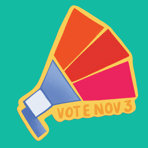 Election Day Use Your Voice Vote Now GIF