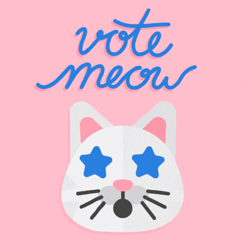 Election Day Vote Meow Cat GIF