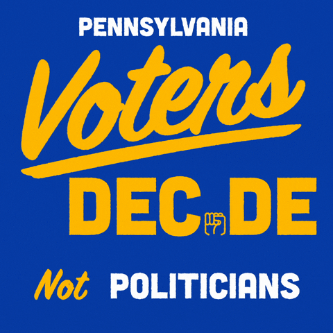 Election Day Voters Decide Not Politician GIF