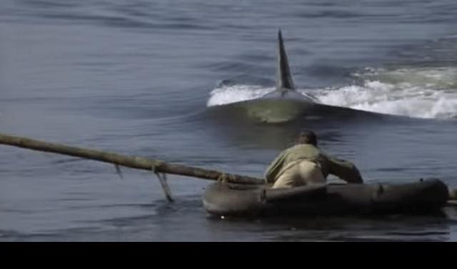 Electrifying Big Jaws GIF