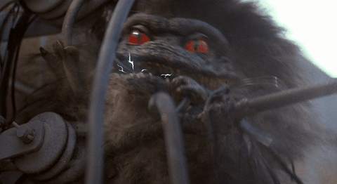 Electrocuted Critters Weakened GIF