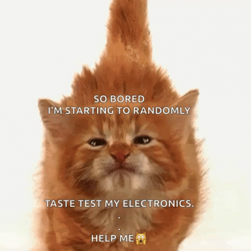 Electronics Cat Rising Fur GIF