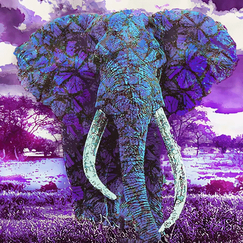 Elegant Elephant Pop Fine Art GIF