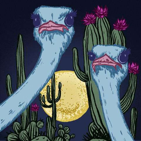 Elegant Ostrich Under Moon's Light GIF