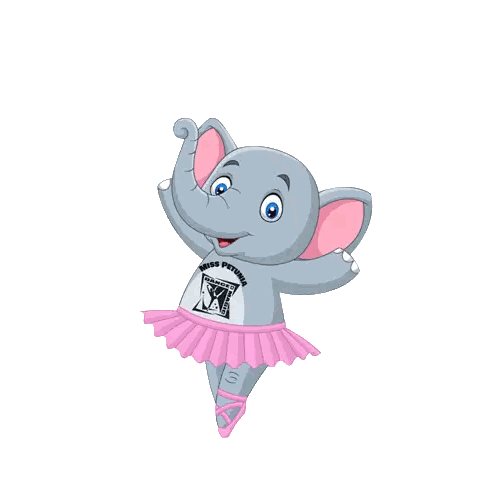 Elephant in Pink Tutu and Dance Festival Shirt
