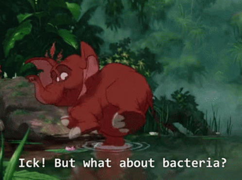 Elephant in Water With Bacteria Words