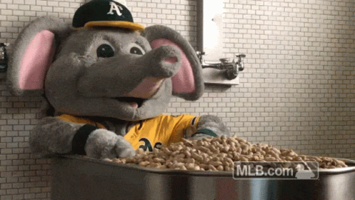 Elephant Mascot Sitting In Bowl Of Peanuts MLB.com GIF