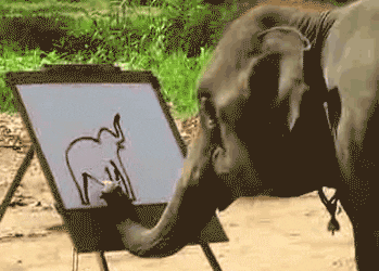 Elephant Painting Elephant GIF