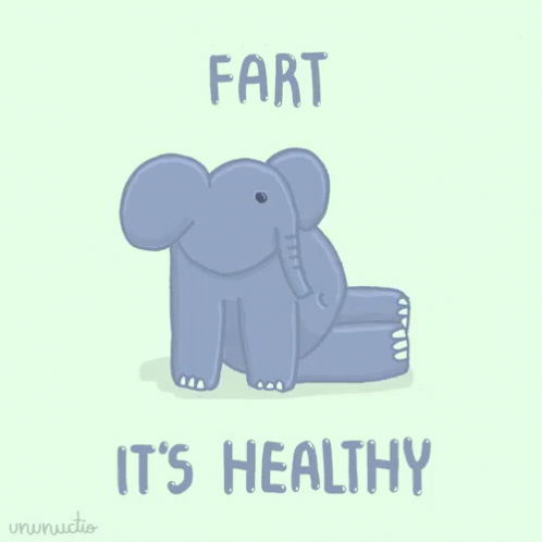 Elephant Saying Fart It's Healthy GIF