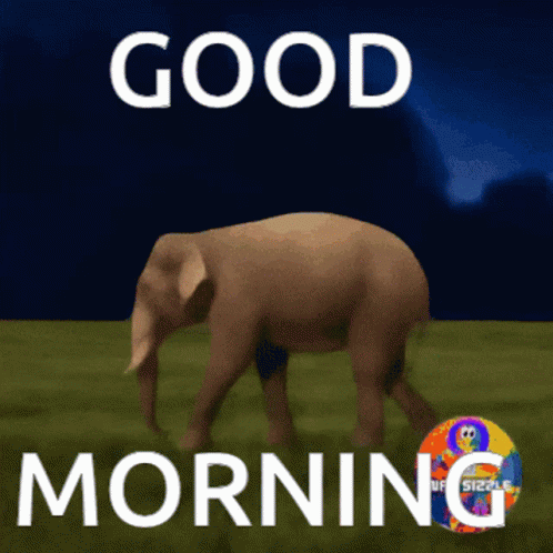 Elephant Saying Good Morning GIF