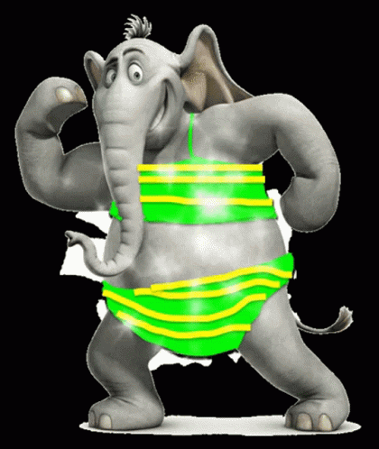 Elephant Wearing Swimsuit GIF