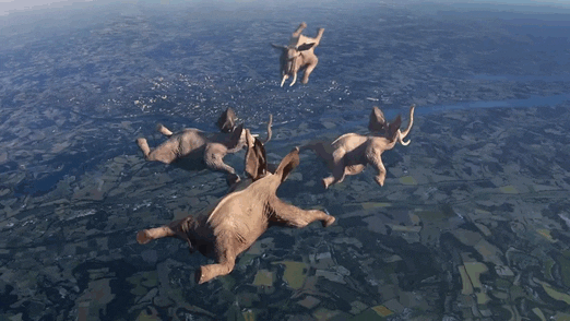Elephants Floating In The Air GIF