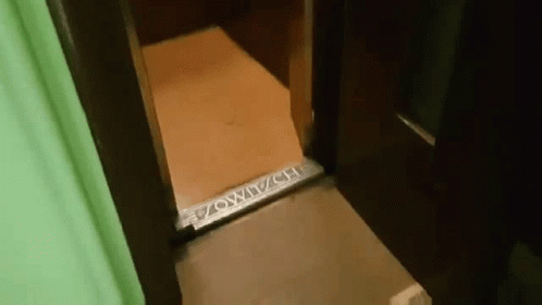 Elevator Door Close Up Voyager