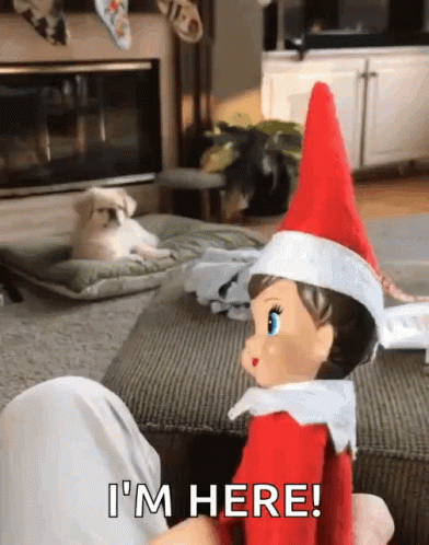 Elf On The Shelf Moving Close Up GIF