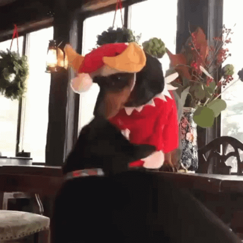 Elf On The Shelf Moving Cute Puppy GIF