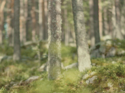 Elf Santa Carrying Baskets GIF