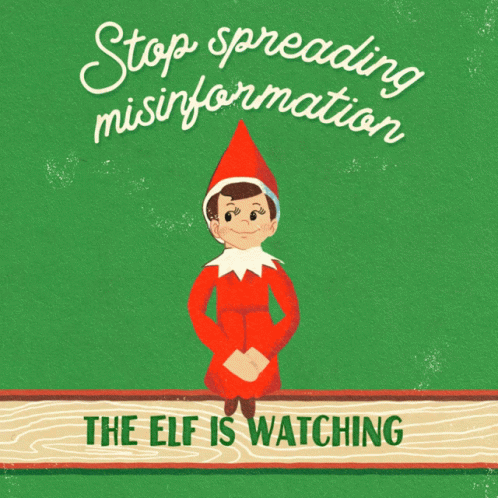 Elf Santa Stop Spreading Misinformation GIF