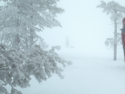 Elf Santa Walking Around The Snow GIF