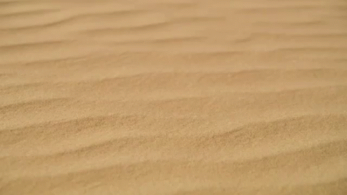 Eli Rose Written in Red Letters on Sandy Surface