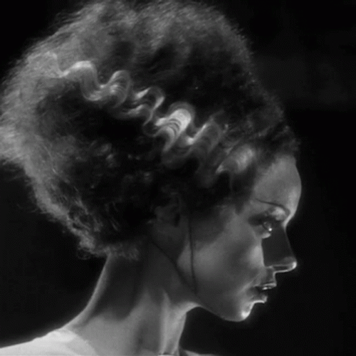 Elizabeth Frankenstein Looking Around Confused498 X 498 GIF