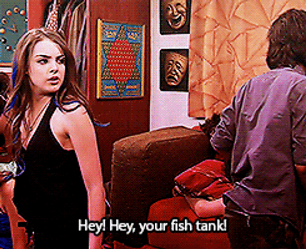 fish tank movie gif
