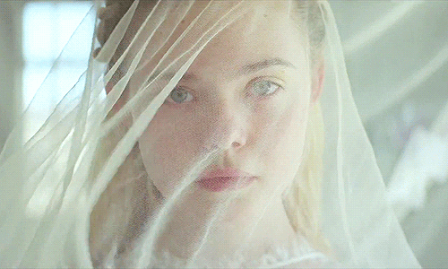 Elle Fanning White Veil Young Ones GIF