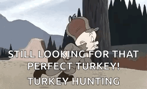 Elmer Fudd From Looney Tunes Is Looking For A Perfect Turkey . GIF