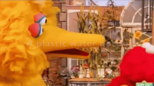 Elmo and Big Bird From Sesame Street Talking