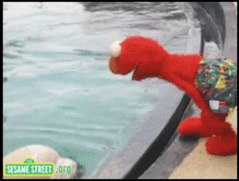 Elmo Dancing Love Whale GIF