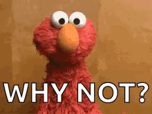 Elmo From Sesame Street Is Asking The Question Why Not ? GIF