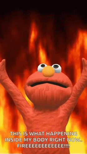 Elmo Is Standing In Front Of A Fire And Says This Is What Happening Inside My Body Right Now Fireeeee GIF