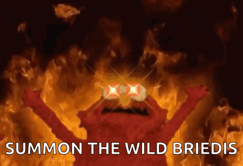 Elmo Surrounded By Flames Summon The Wild Breidis GIF
