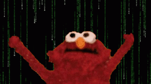Elmo Stands In Front Of A Matrix Background GIF