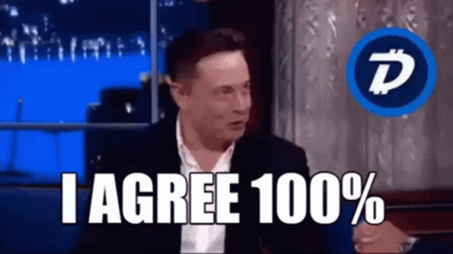 Elon Musk 100  Percent Agree GIF