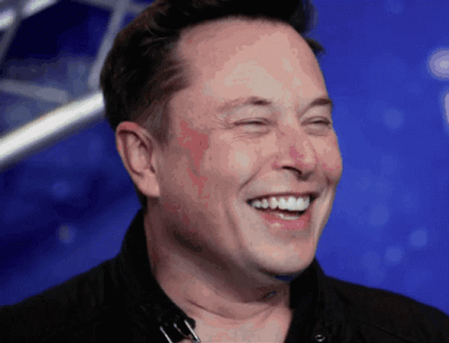 Elon Musk Alien Head Lookalike Meme GIF