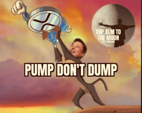 Elon Musk Holding Coin Saying Pump Don T Dump