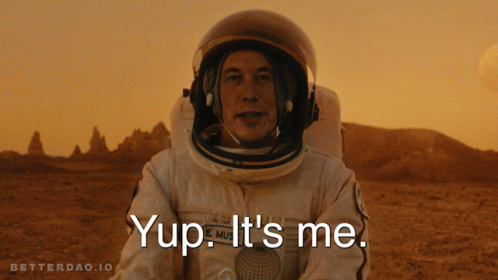 Elon Musk Techno King On Mars GIF