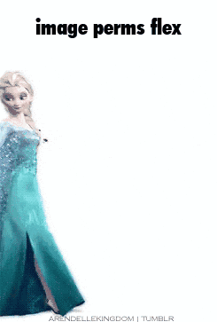 Elsa From Frozen Image Perms Flex