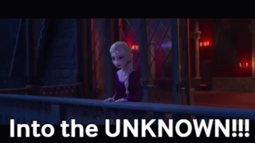 Elsa From Frozen Is Standing On A Balcony With The Words `` Into The Unknown !!! '' . GIF