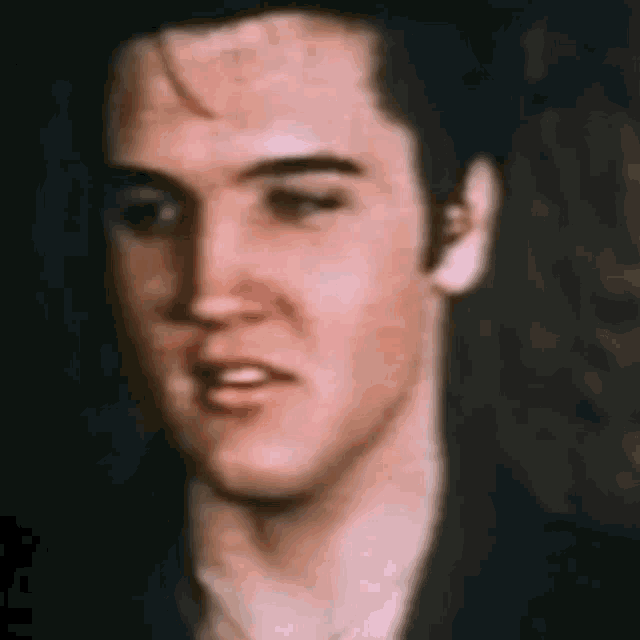 Elvis Elvis Presley Gif GIF