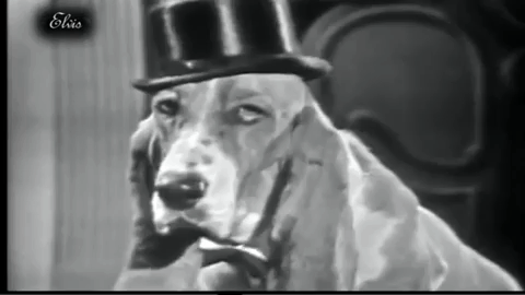 Elvis Presley 1950 Steve Allen Show GIF