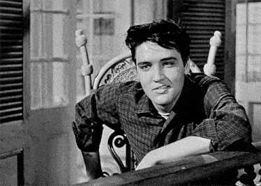 Elvis Presley King Creole Gif GIF